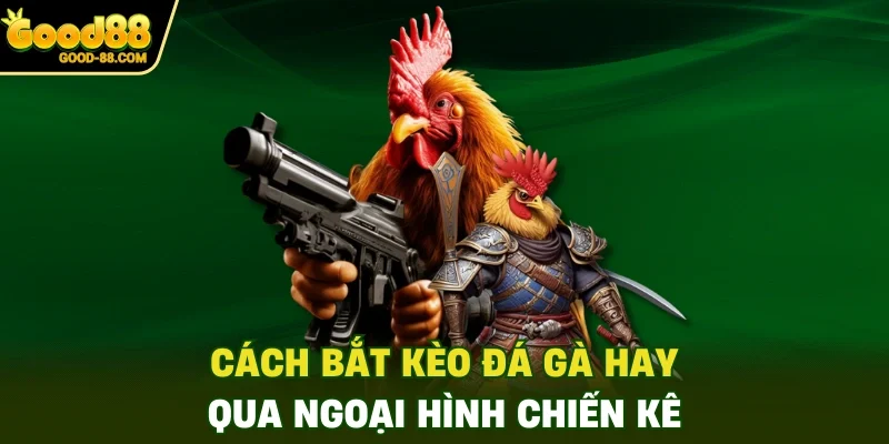 Cách bắt kèo đá gà hay qua ngoại hình chiến kê