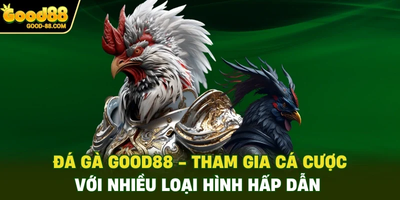 Tham Gia Đá Gà Good88 Với Nhiều Loại Hình Hấp Dẫn