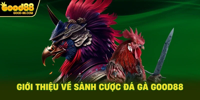 Giới thiệu về sảnh cược đá gà Good88