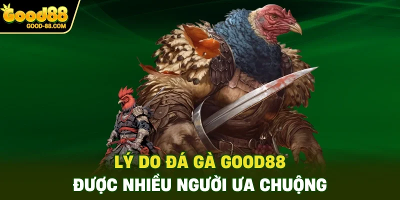 Lý do đá gà Good88 được nhiều người ưa chuộng