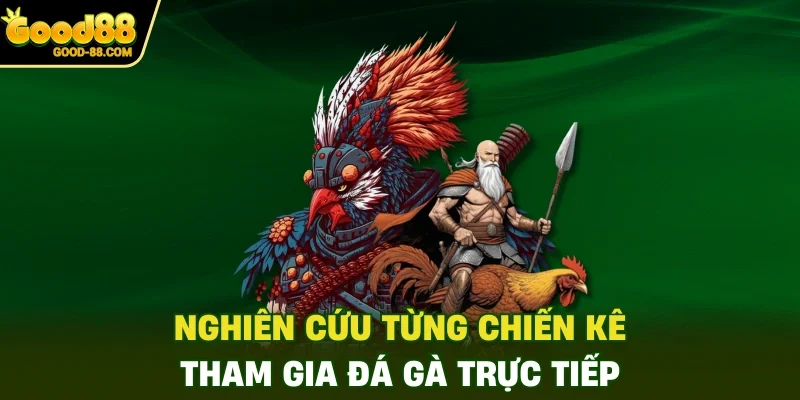 Nghiên cứu từng chiến kê tham gia đá gà trực tiếp