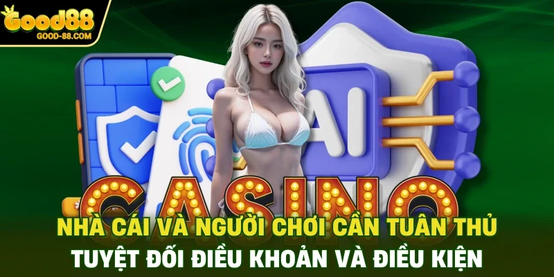 Nhà cái và người chơi cần tuân thủ tuyệt đối điều khoản và điều kiện